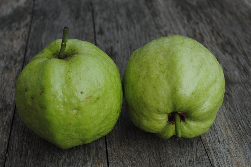 health benefits of guava in kannada