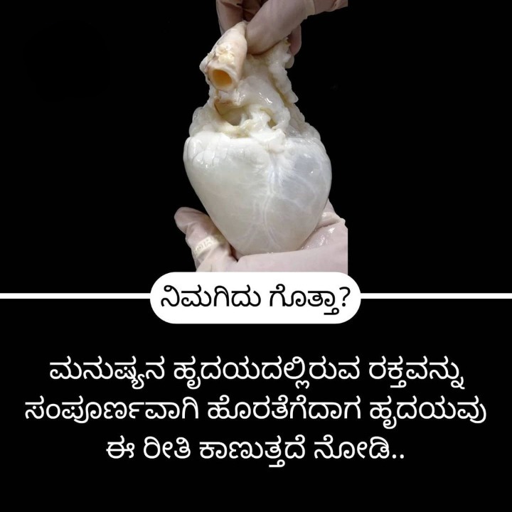 Home Remedies ಮನೆ ಮದ್ದು