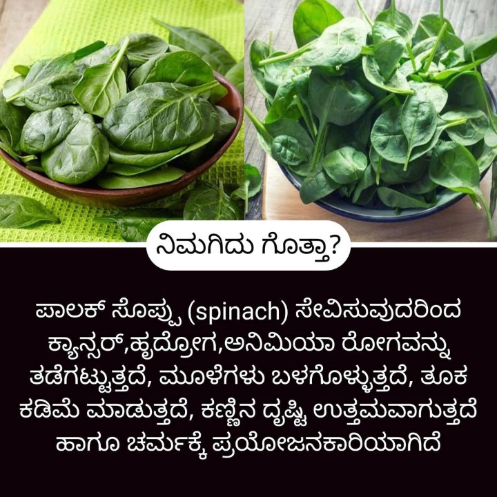 ಮನೆ ಮದ್ದುಗಳು