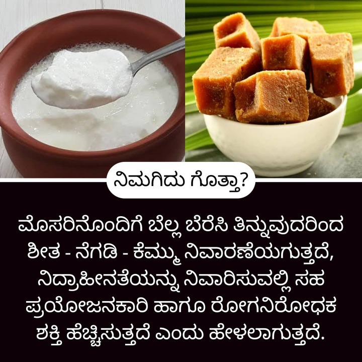 ಮನೆ ಮದ್ದು