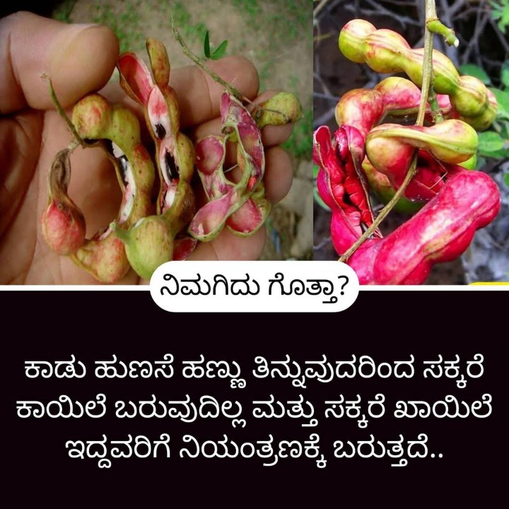 Home Remedies ಮನೆ ಮದ್ದು