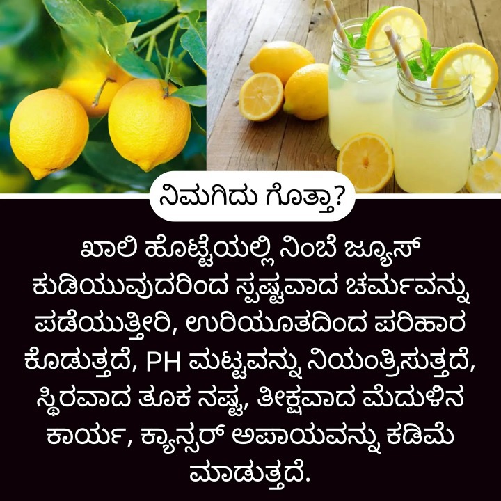 ಮನೆ ಮದ್ದು