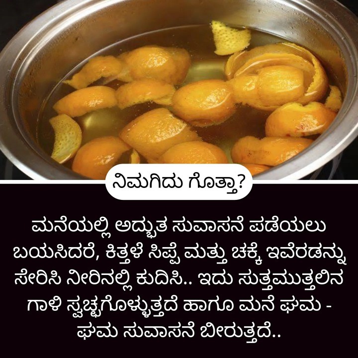 ಮನೆ ಮದ್ದು