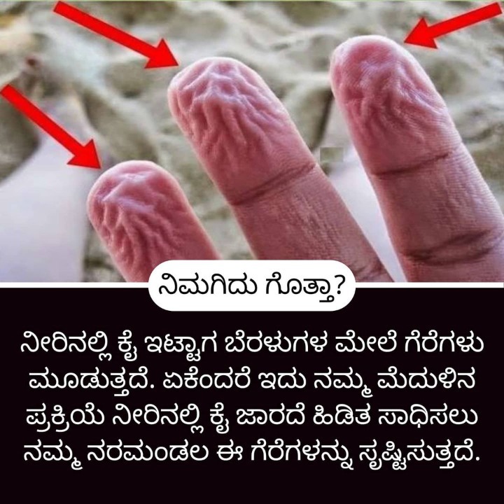 Home Remedies ಮನೆ ಮದ್ದು