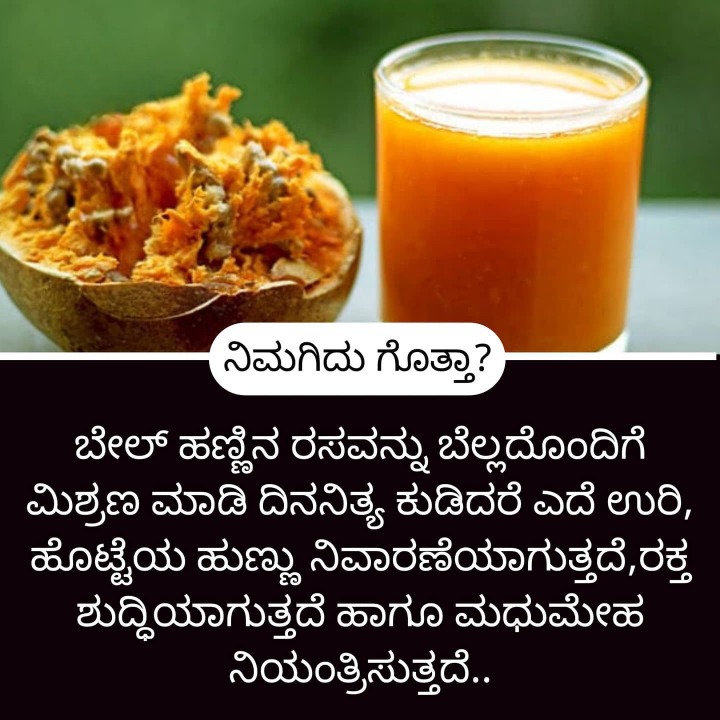 ಮನೆ ಮದ್ದು