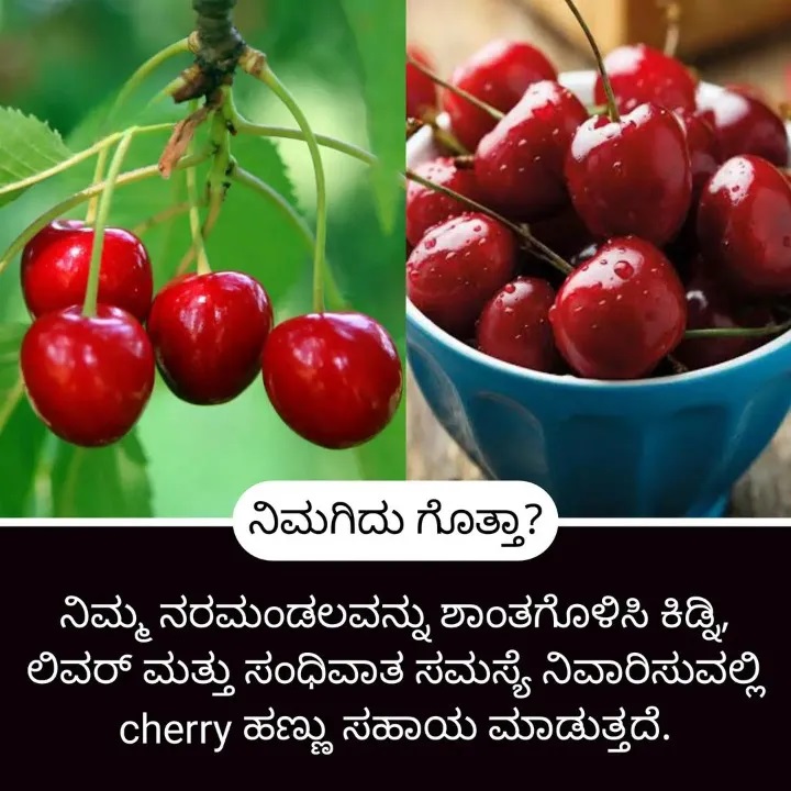 ಮನೆಮದ್ದುಗಳು, ಮನೆ ಮದ್ದು