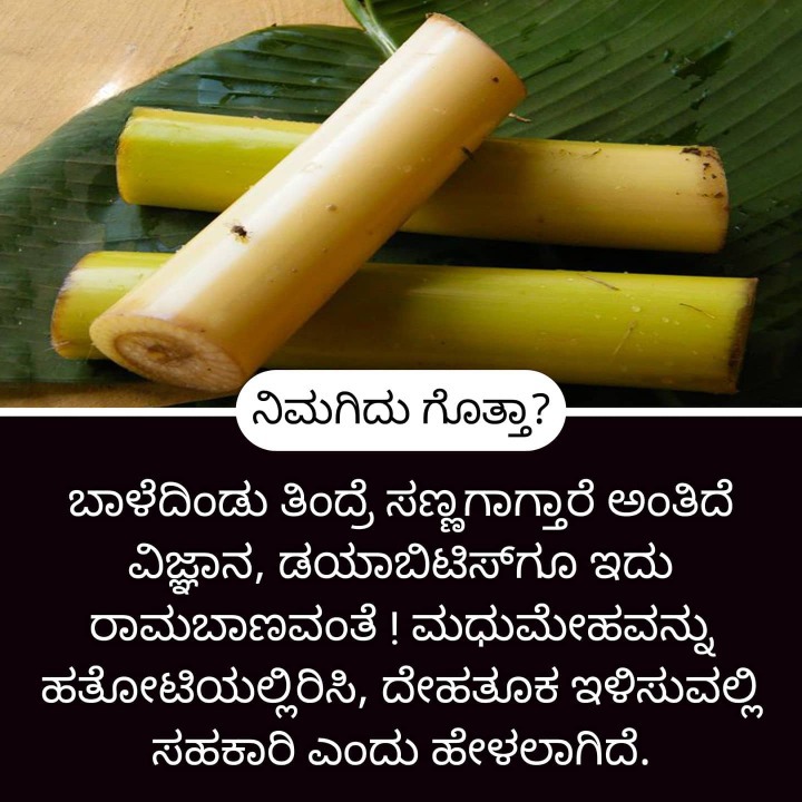 ಮನೆ ಮದ್ದು