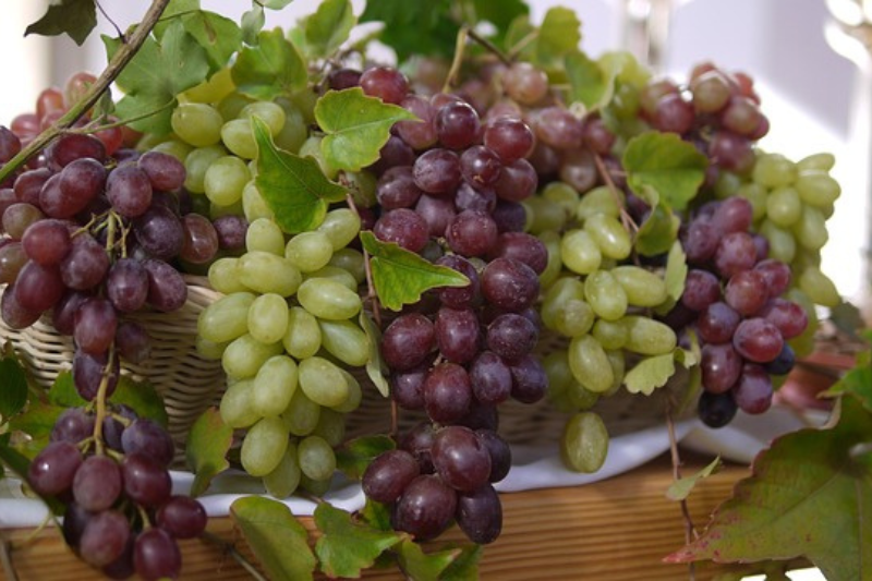 10-health-benefits-of-grapes-in-kannada