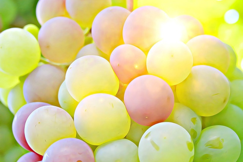 10-health-benefits-of-grapes-in-kannada