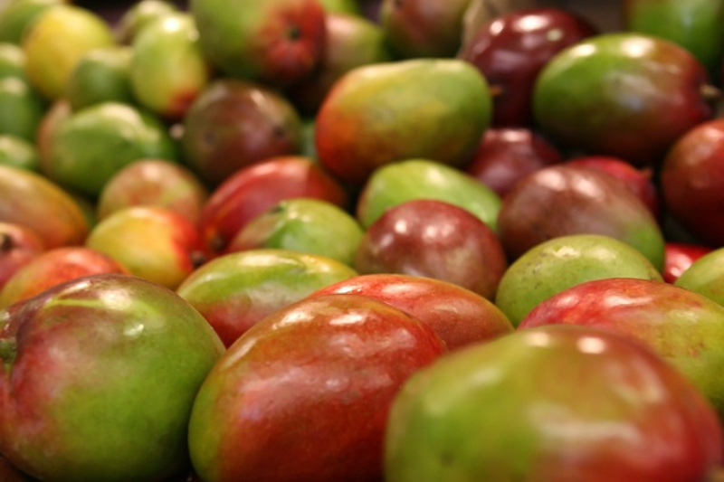 10-health-benefits-of-mango-in-kannada