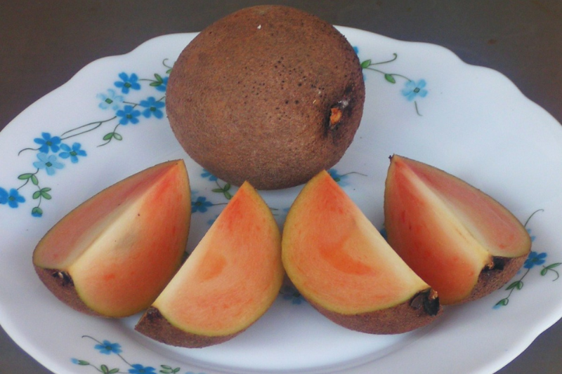 10-health-benefits-of-sapota-in-kannada