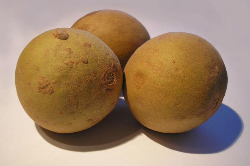 10-health-benefits-of-sapota-in-kannada