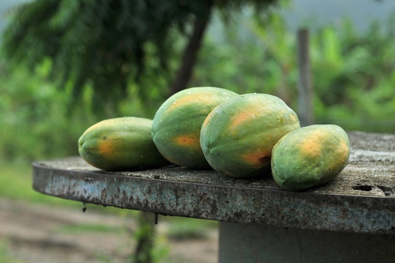 health-benefits-of-papaya-in-kannada
