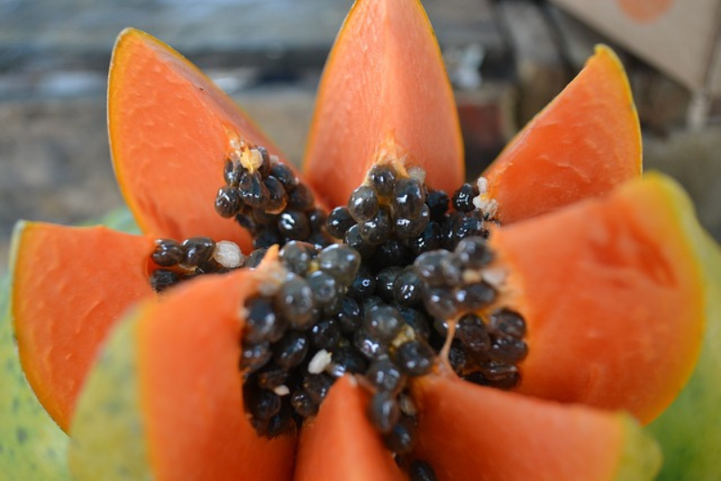 10-health-benefits-of-papaya-in-kannada