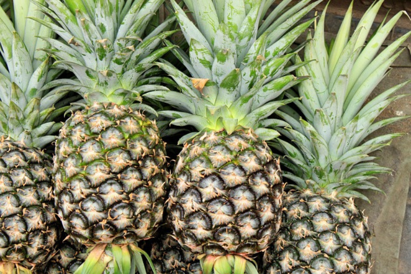 10-health-benefits-of-pineapple-in-kannada