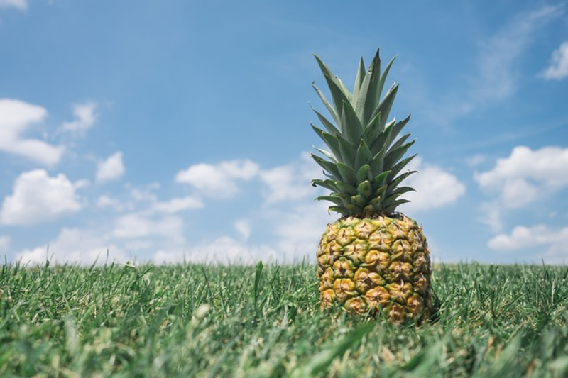 10-health-benefits-of-pineapple-in-kannada