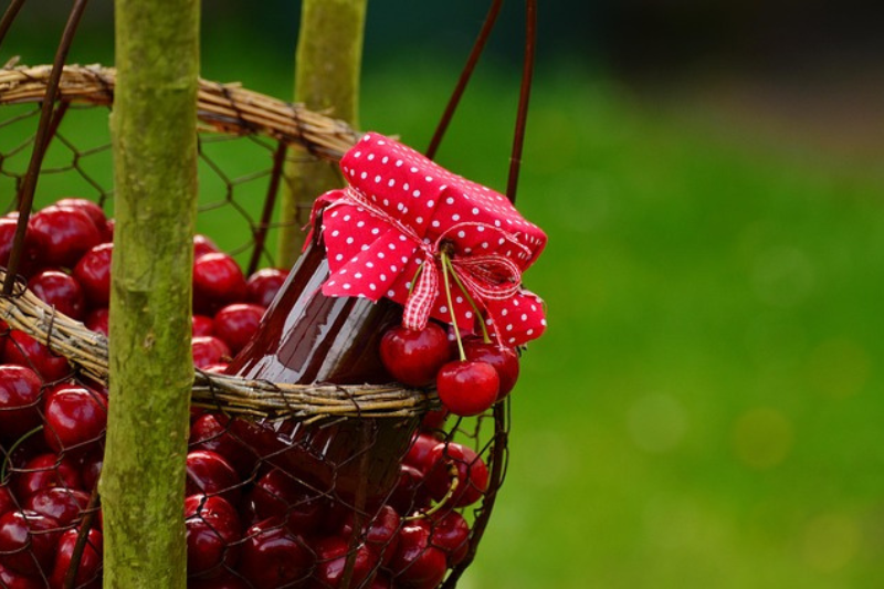Cherry Fruit Health Benefits: ಚೆರ್ರಿ ಹಣ್ಣಿನ 10 ಆರೋಗ್ಯ ಪ್ರಯೋಜನಗಳು