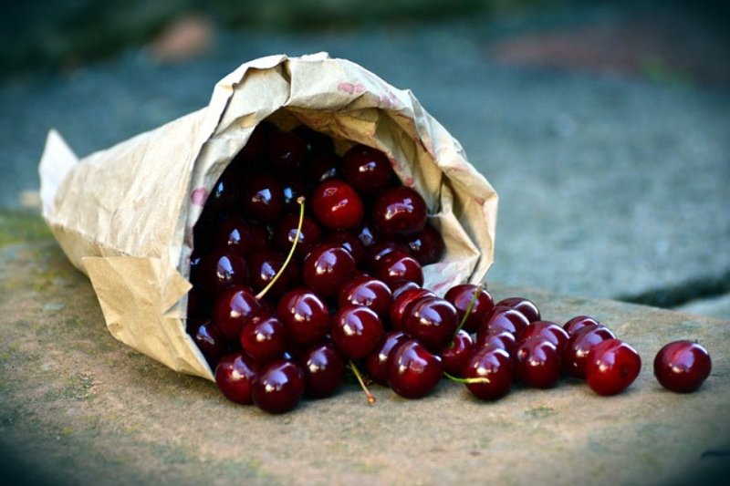 Cherry Fruit Health Benefits: ಚೆರ್ರಿ ಹಣ್ಣಿನ 10 ಆರೋಗ್ಯ ಪ್ರಯೋಜನಗಳು