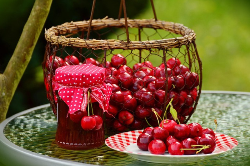 Cherry Fruit Health Benefits: ಚೆರ್ರಿ ಹಣ್ಣಿನ 10 ಆರೋಗ್ಯ ಪ್ರಯೋಜನಗಳು