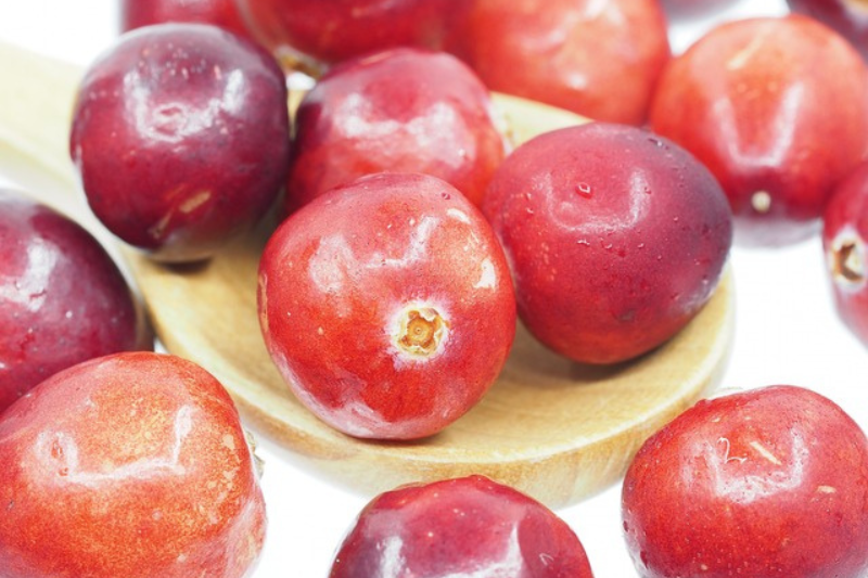 Cranberry Fruit: ಕ್ರಾನ್ಬೆರಿ ಹಣ್ಣಿನ 10 ಆರೋಗ್ಯ ಪ್ರಯೋಜನಗಳು