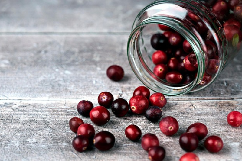Cranberry Fruit: ಕ್ರಾನ್ಬೆರಿ ಹಣ್ಣಿನ 10 ಆರೋಗ್ಯ ಪ್ರಯೋಜನಗಳು